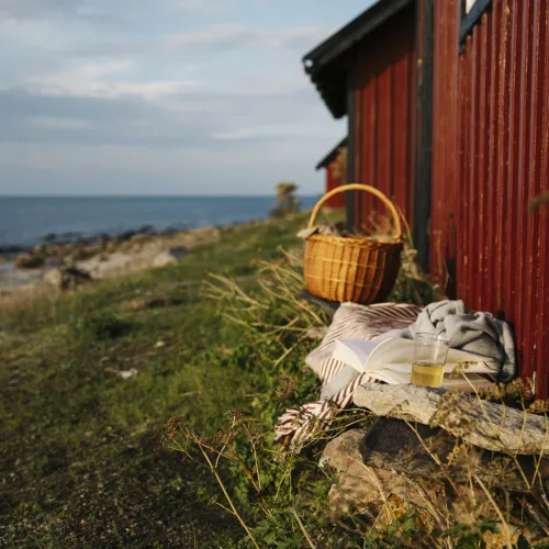 Neptuni åkrar - Öland