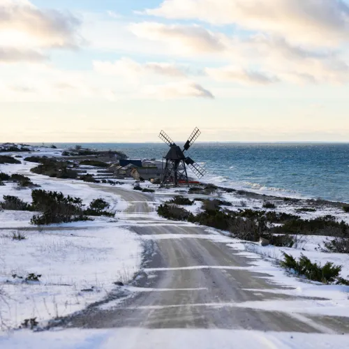 Jordhamns skurkvarn