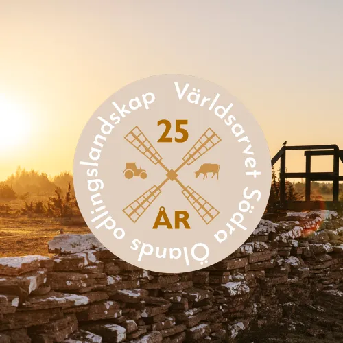 Världsarvet - 25 år