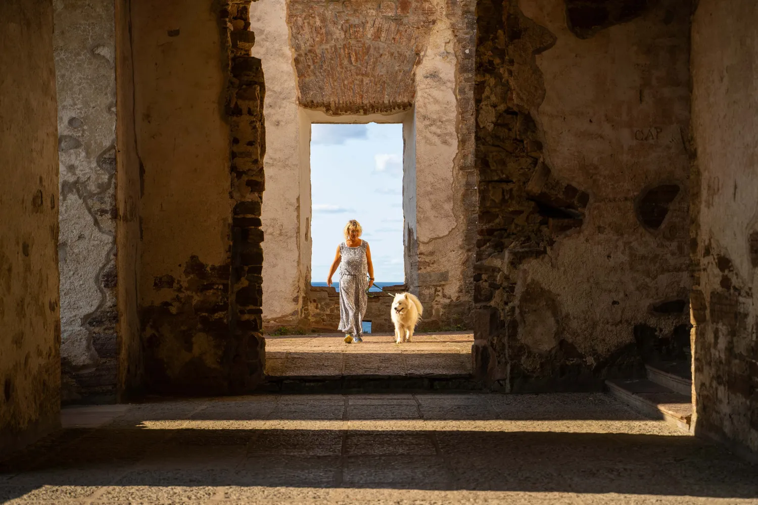 Hund på Borgholms Slott