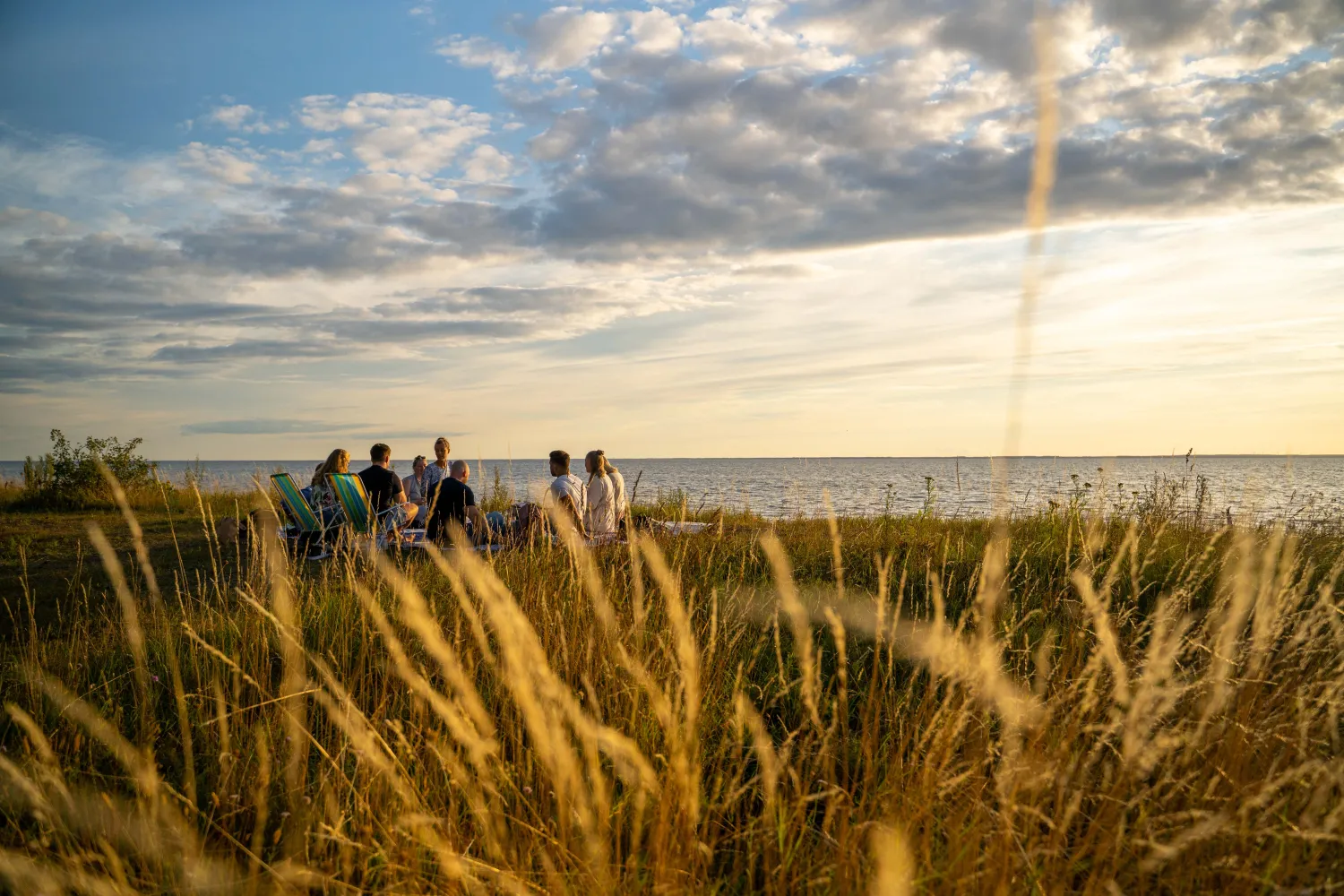 Picknick i Sandbergen