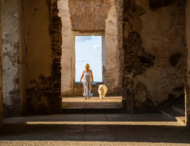 Hund på Borgholms Slott