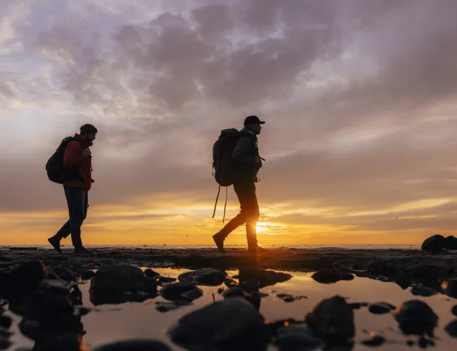 Två män som vandrar längs med kusten på Öland i solnedgång.