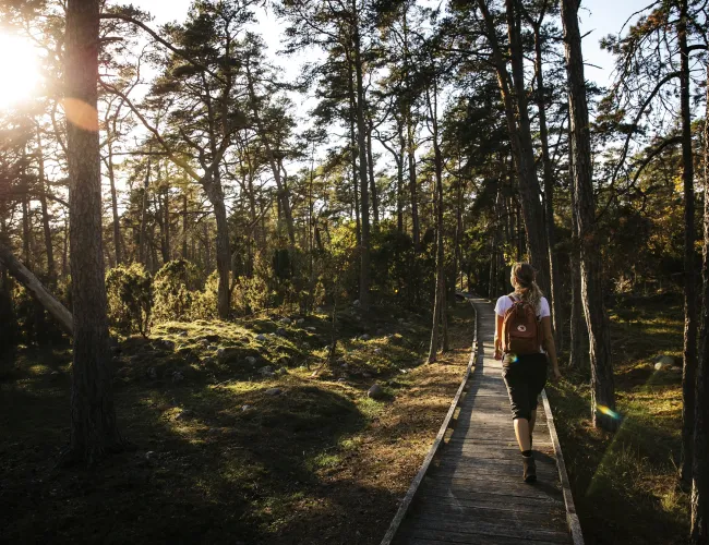 Vandra Trollskogen