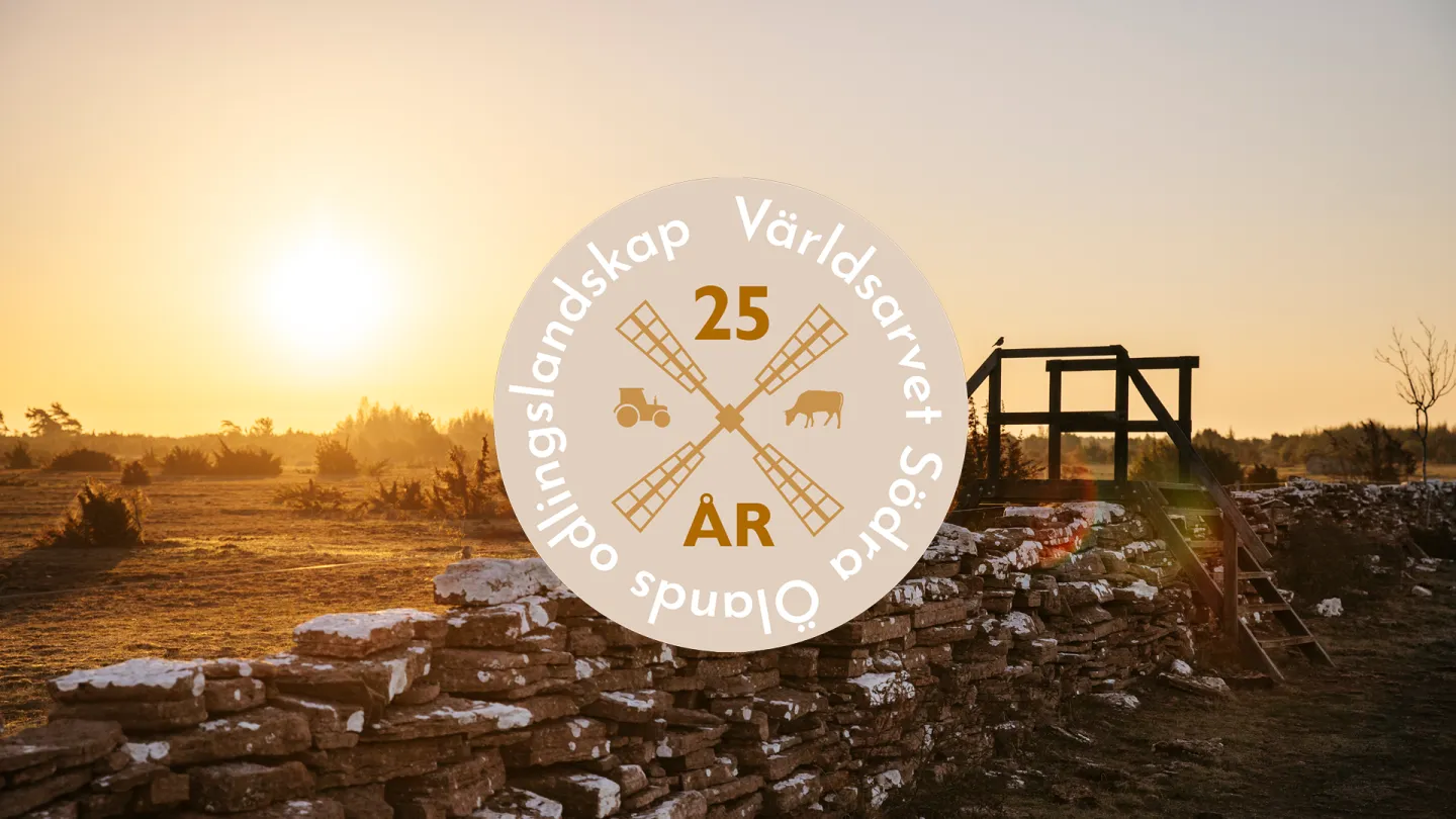 Världsarvet - 25 år